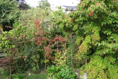 Gartenüberblick