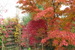 Herbststimmung Ende Oktober